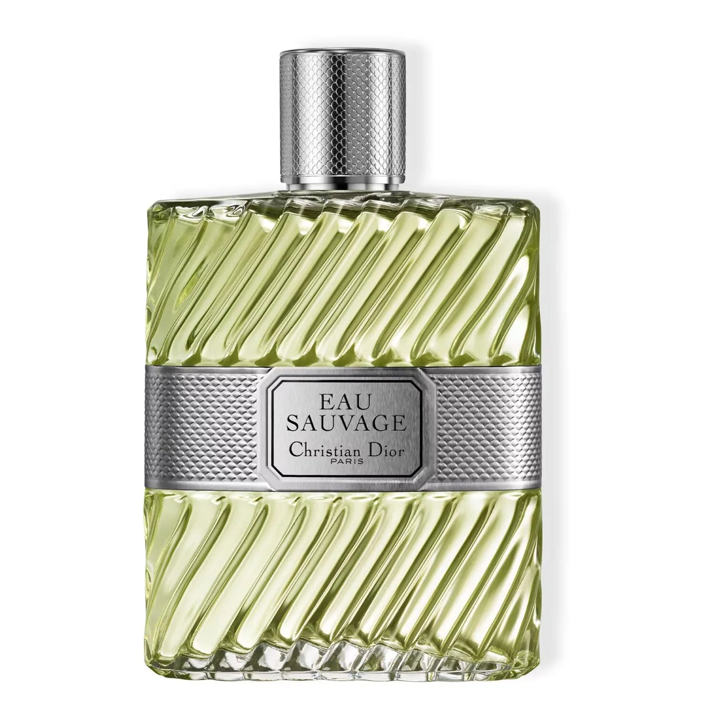 DIOR Eau Sauvage Wild Water - Giant Bottle