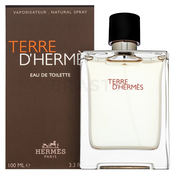 Hermes Terre D'Hermes EDT M 100 ml