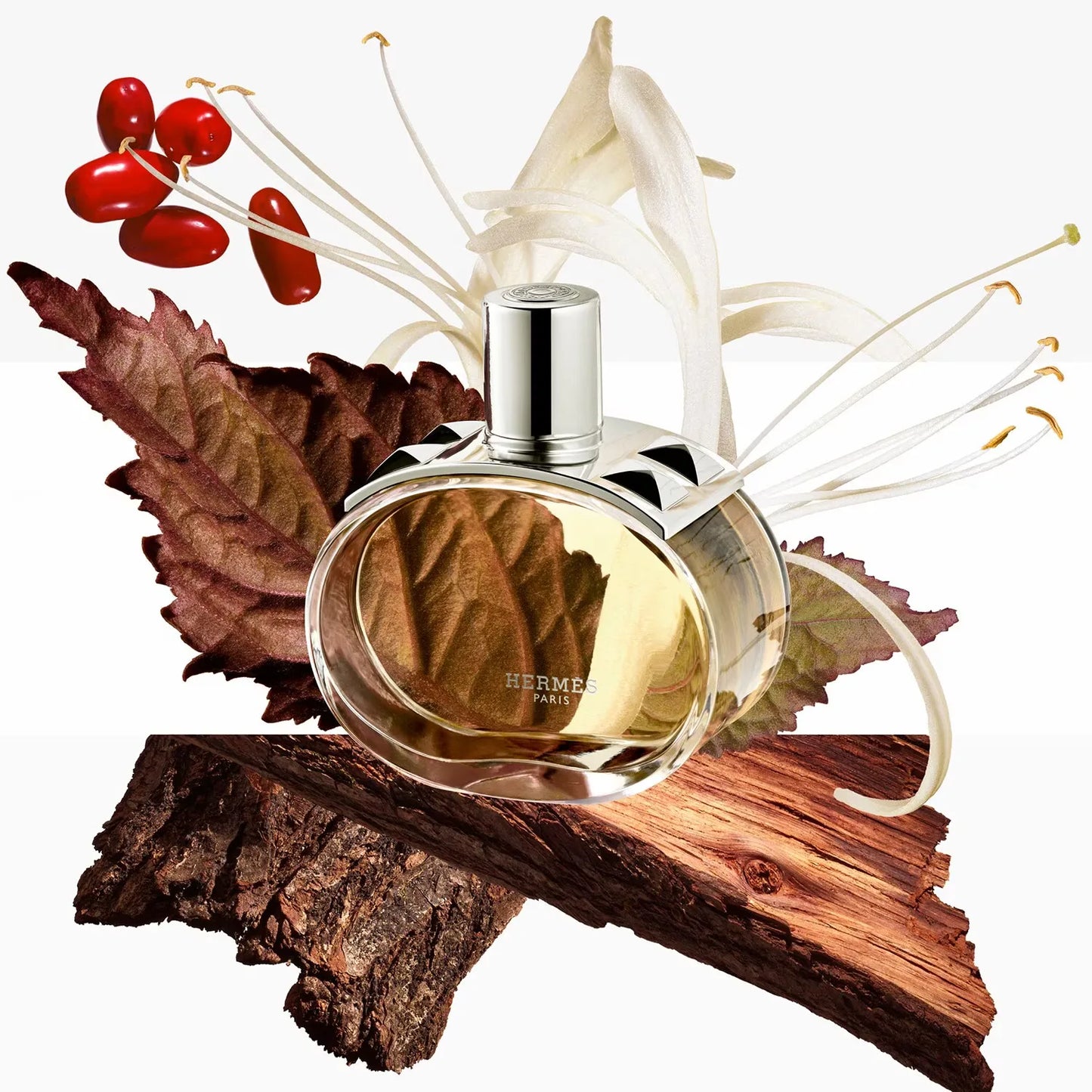 HERMÈS Barénia - Eau de parfum