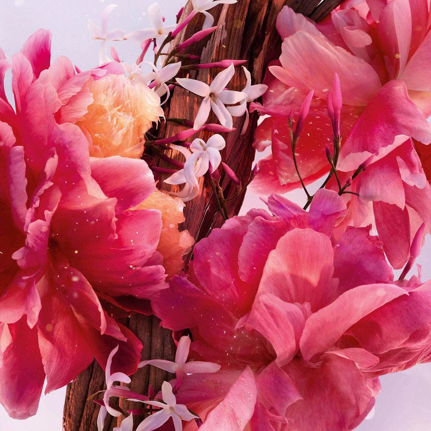 DIOR Miss Dior Perfume Roller Pearl - Floral, fruity and woody nomadic fragrance