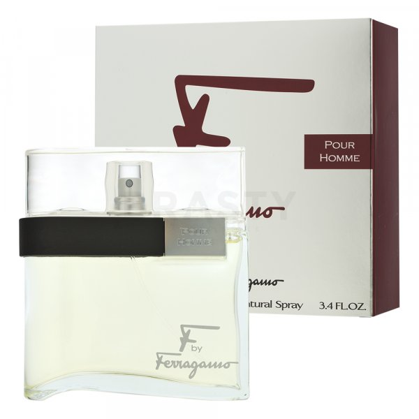 Salvatore Ferragamo F by Ferragamo Pour Homme EDT M 100 ml