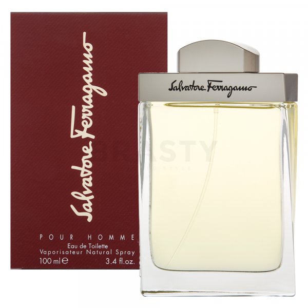 Salvatore Ferragamo Pour Homme EDT M 100 ml