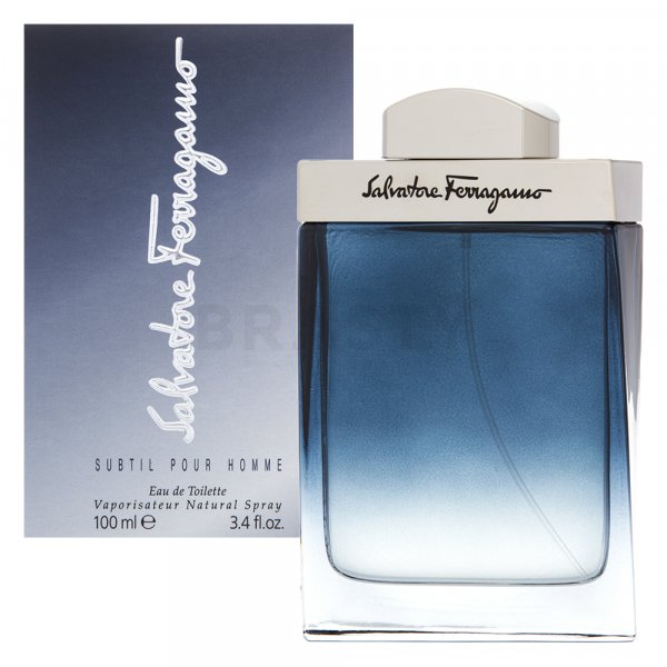 Salvatore Ferragamo Subtil Pour Homme EDT M 100 ml