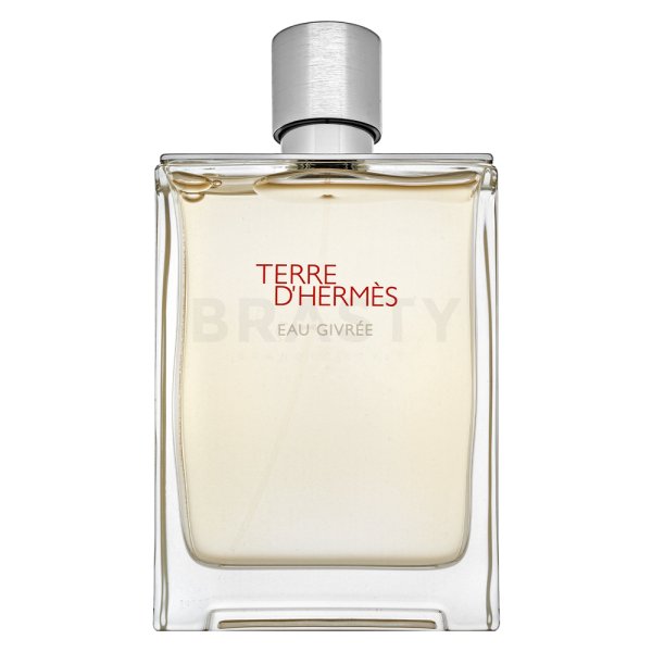 Hermès Terre d’Hermès Eau Givrée EDP M 175 ml