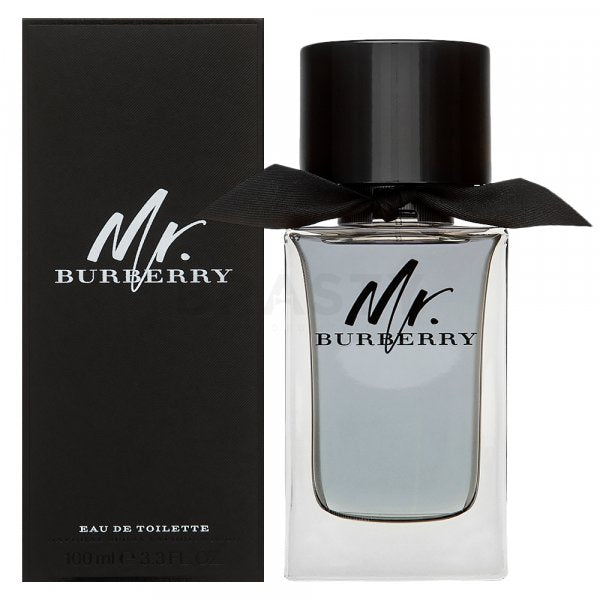 Burberry Mr. Burberry EDT M 100 ml
