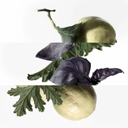HERMÈS Purple Basil Water - Cologne