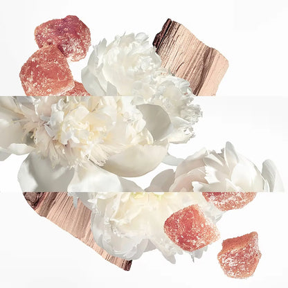 HERMÈS Twilly Eau Ginger - Eau de Parfum