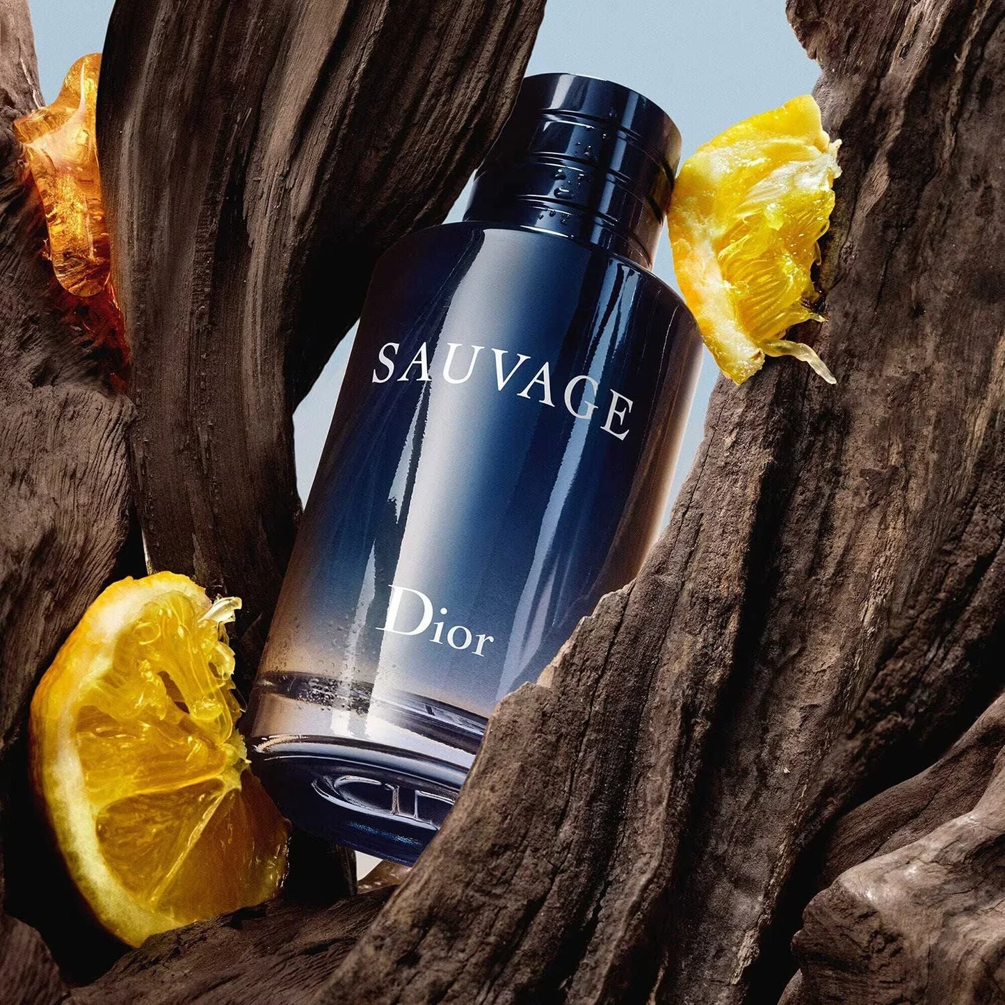 DIOR Sauvage - Eau de toilette for men